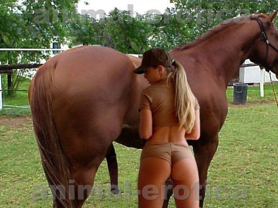 Girl And Horse Porn - Horse Sex Girl Art | Sex Pictures Pass